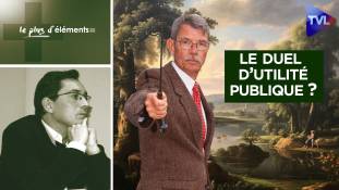 Le Plus d'Eléments - Bernard Lugan : pourquoi le duel doit-il être reconnu d’utilité publique ?