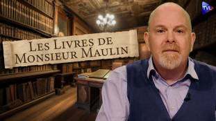 Les livres de Monsieur Maulin - Maurice Raphaël l’incendiaire