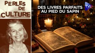 Perles de Culture n°397 : Deux livres parfaits au pied du sapin