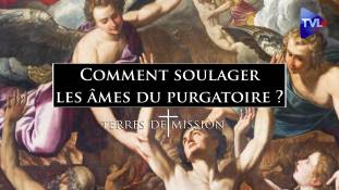 Terres de Mission n°336 - Comment soulager les âmes du purgatoire ?