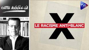 Cette année-là - Et si on parlait enfin du racisme anti-blanc