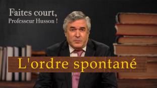 Faites court, professeur Husson - Vers la révolution éducative de l'ordre spontané