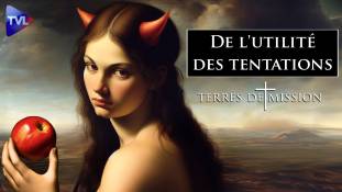 Terres de Mission n°352 : De l'utilité des tentations