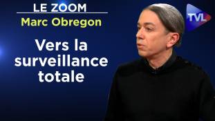 Zoom - Marc Obregon : Roman : Paris, un parc d'attractions pour veaux augmentés