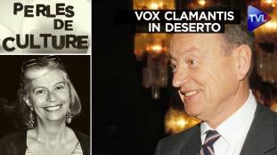 Perles de Culture n°402 : Vox clamantis in deserto