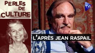 Perles de Culture n°404 - Romain Guérin : un héritier de Jean Raspail