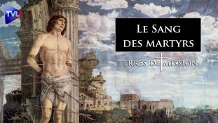 Terres de Mission n°366 : Sang des martyrs, semence de chrétiens