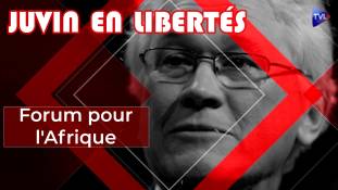 Juvin en Libertés - Forum pour l'Afrique