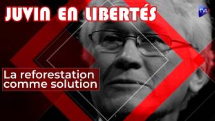 Juvin en Libertés - La reforestation comme solution