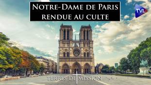 Terres de Mission - Notre-Dame de Paris rendue au culte