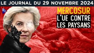 Accord UE-Mercosur : la tenaille bruxelloise - JT du vendredi 29 novembre 2024
