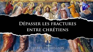 Terres de Mission n°389 - Dépasser les fractures entre chrétiens