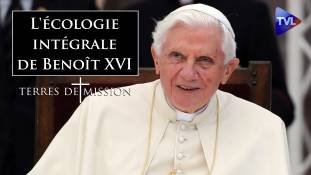 Terres de Mission n°392 - L'écologie intégrale de Benoît XVI