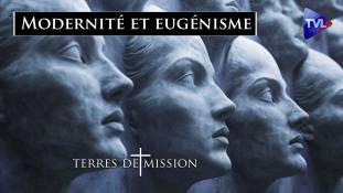 Terres de Mission n°393 - Modernité et eugénisme