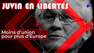 Juvin en Libertés - Moins d'Union pour plus d'Europe