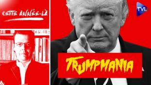 Cette année-là - Comment expliquer la "Trump mania" des droites ?