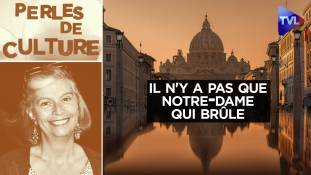 Perles de Culture - Il n'y a pas que Notre-Dame qui brûle