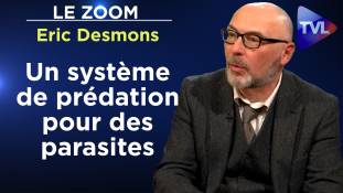 Zoom - Eric Desmons : Le roman "Jaune" : autopsie d'une France déclassée