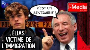 Le Nouvel I-Média - Bayrou et la submersion migratoire : interdit d’en parler !