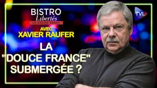 Bistro Libertés avec Xavier Raufer - Violence, identité : la "douce France" submergée ? -