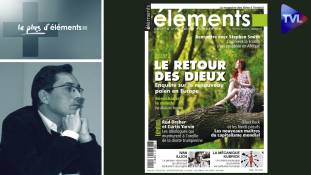 Le Plus d'Eléments - Le retour des dieux ou comment réenchanter le monde
