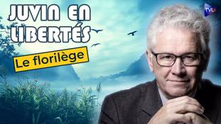 Juvin en Libertés - Le florilège (01/2025 - 02/2025)