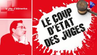 Le Plus d’Eléments - Le coup d’Etat des juges
