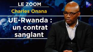 Zoom - Charles Onana :  Holocauste au Congo : le business de la transition écologique