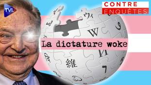 Contre-enquêtes - Wikipédia démasqué !