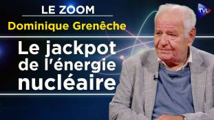 Zoom - Dominique Grenêche : Nucléaire : réacteurs surgénérateurs, une urgence !