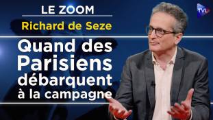 Zoom - Richard de Seze : "Parisiens en exil" : un confinement pour rire