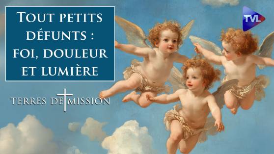 Terres de Mission n°441 - Actualité des saints Innocents