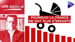 Cette année-là - Baby-crash : enquête sur une France sans enfants