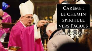 Terres de Mission n°447 - Sainte entrée en carême