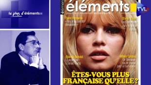 Le Plus d'Eléments - Qu’est-ce que la France aujourd’hui ?