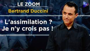 Zoom - Bertrand Duccini : Le racisme antiblanc expliqué par la psychanalyse