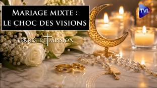Terres de Mission n°460 - Mariages entre catholiques et musulmans : quels enjeux ?