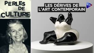 Perles de Culture avec Nicole Esterolle - L'art contemporain a trouvé son contempteur