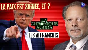 Les Affranchis - Phlippe Béchade - La paix est signée. Les vrais problèmes commencent maintenant