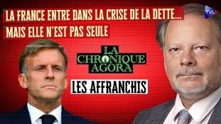 Les Affranchis - La France entre dans la crise de la dette… mais elle n’est pas seule