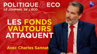 Politique & Eco avec Charles Sannat - Crise de la zone euro : la France détonateur ?