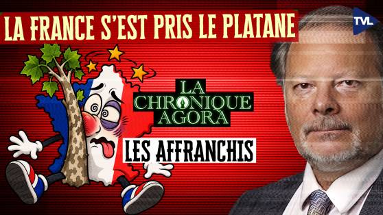 Les Affranchis - La France s’est pris le platane