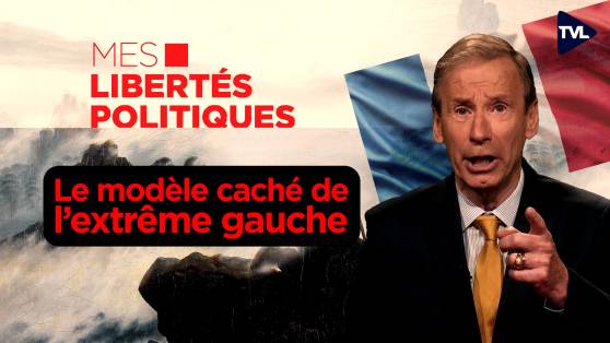 Mes Libertés Politiques - La violence comme programme