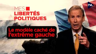 Mes Libertés Politiques - La violence comme programme
